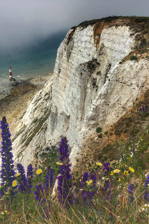From Cambridge: Guided Day Tour to Brighton & Beachy Head - Itinerary Highlights