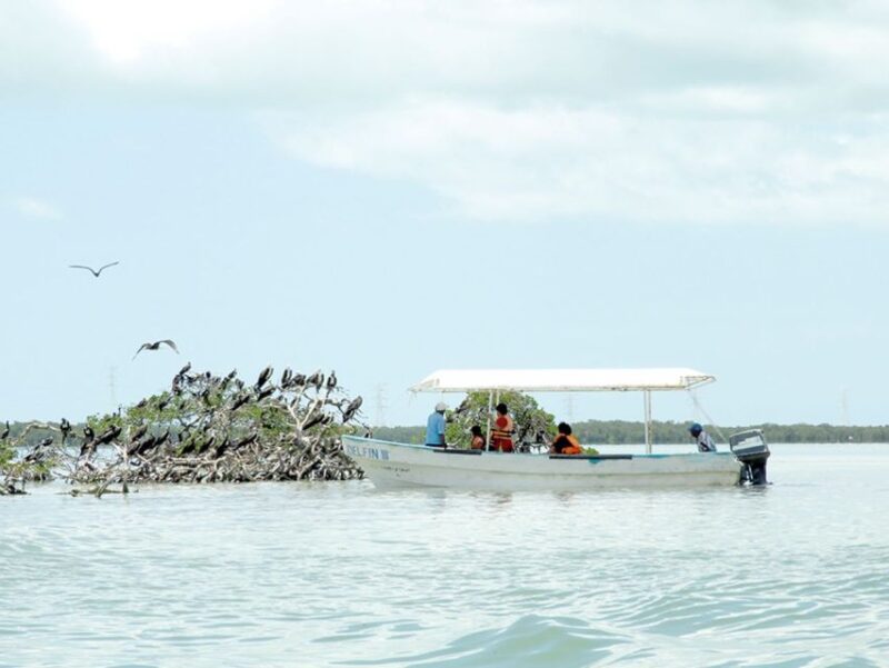 From Campeche: Archaeological Route: Uxmal and Becal - Thick Huano and Jipijapa Hats