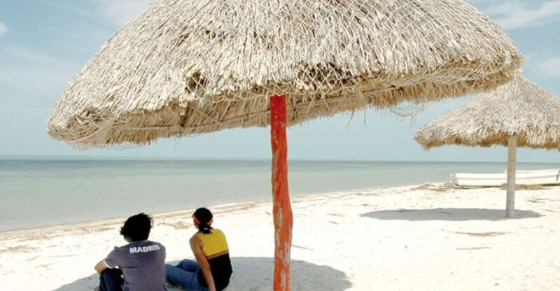 From Campeche: Flamingo Private Tour - Tour Highlights