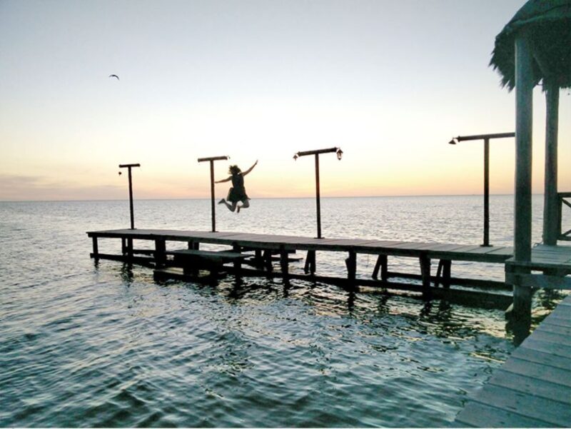 From Campeche: Flamingo Private Tour - Customer Reviews