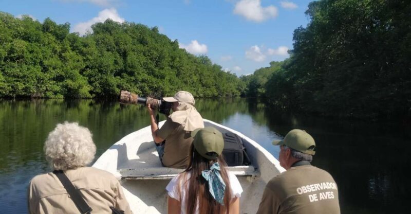 From Campeche: Mamantel River Tour - Key Points