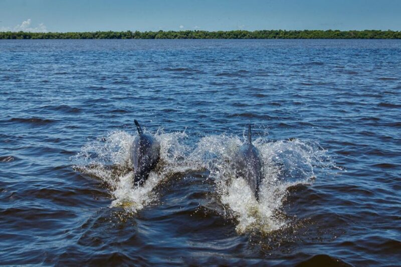 From Campeche: Mamantel River Tour - Booking and Availability