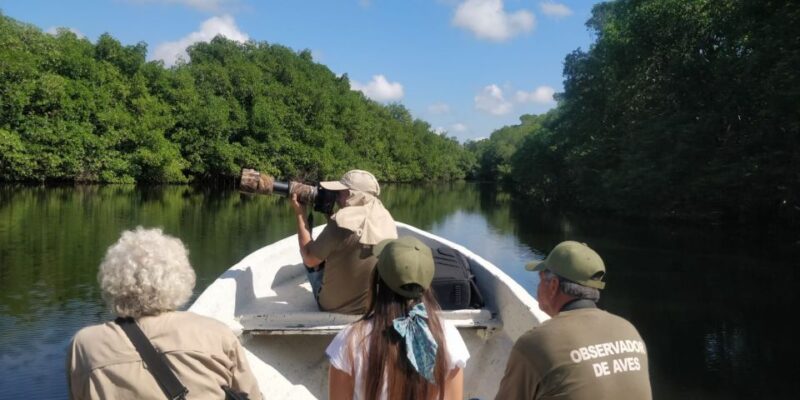 From Campeche: Mamantel River Tour - Exploring Mamantel River