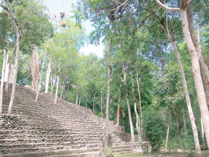 From Campeche: Private 3-Day Selva Maya Tour With Half Board - Itinerary Highlights - Day 2