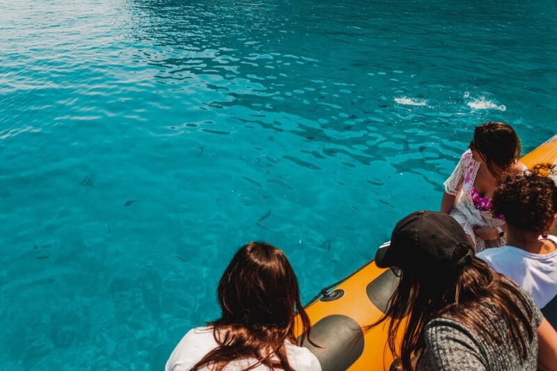 From Can Picafort: Dolphin Watching and Cave Boat Trip - Experience Highlights