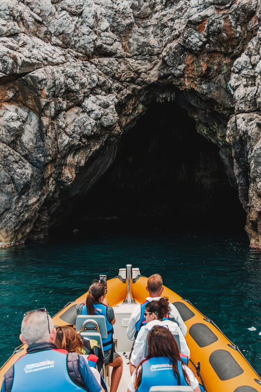 From Can Picafort: Dolphin Watching and Cave Boat Trip - Meeting Point and Requirements