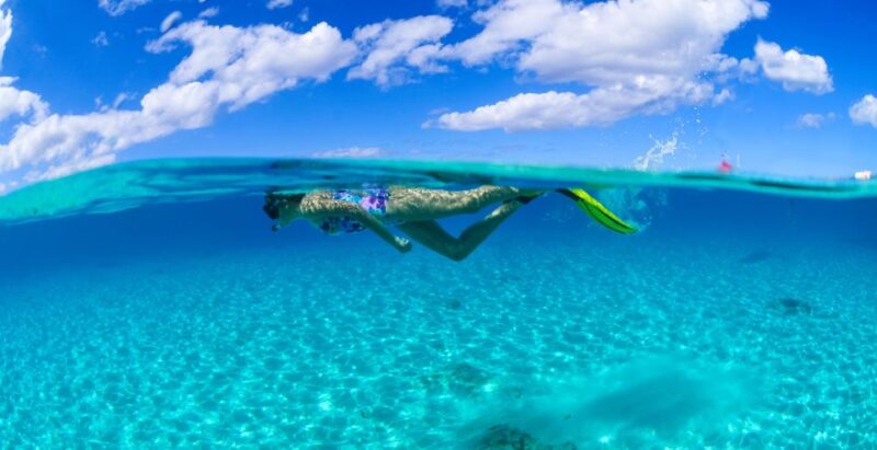 From Cancun and Riviera Maya: Cozumel Snorkeling Tour - Itinerary Highlights