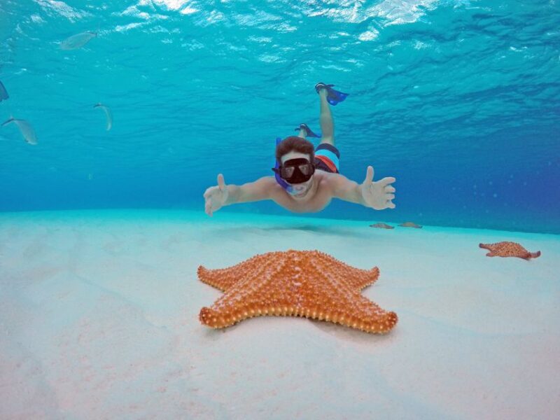 From Cancun and Riviera Maya: Cozumel Snorkeling Tour - Cancellation Policy