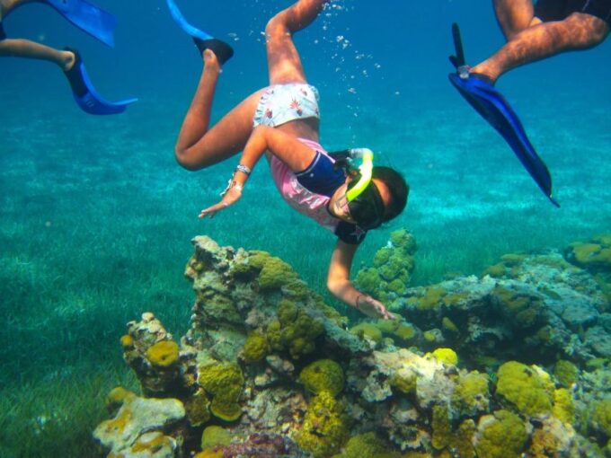 From Cancun and Riviera Maya: Cozumel Snorkeling Tour - Weather Conditions
