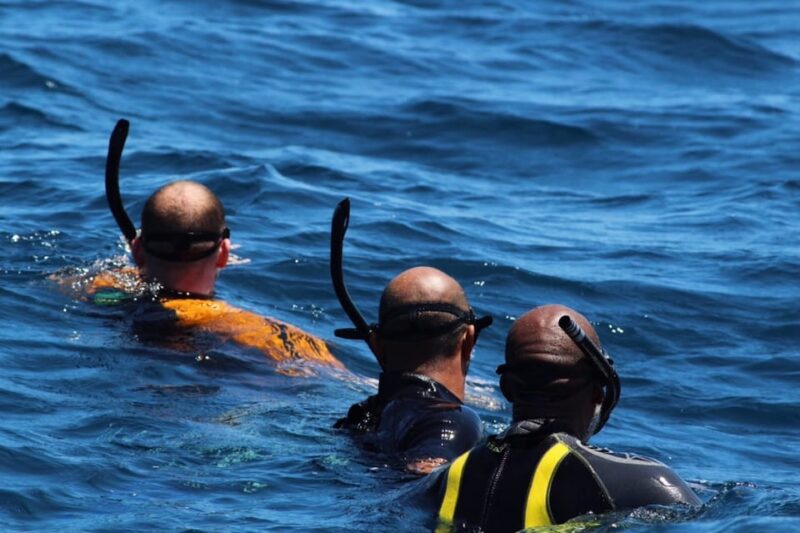 From Cancun and Riviera Maya Whale Shark Snorkeling - Preparation and Requirements