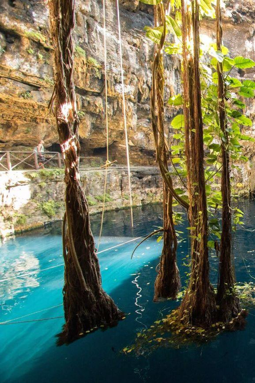 From Cancun: Cenote Experience With Guide and Transport - Culinary Experience