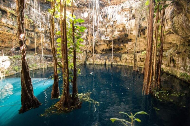 From Cancun: Cenote Experience With Guide and Transport - Transportation