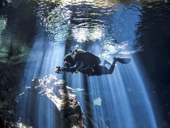 From Cancun: Chikin Ha Cenote Diving Experience - What to Expect Underwater