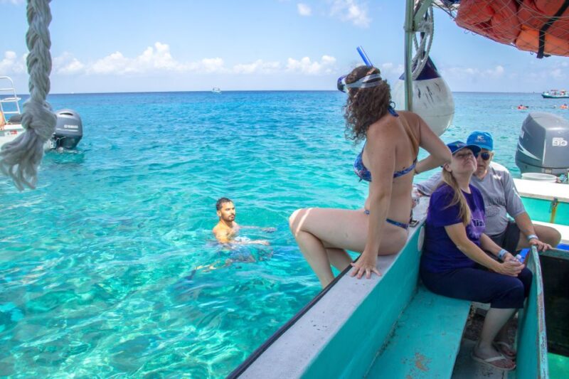 From Cancún: Cozumel Snorkeling Tour - Transportation and Itinerary