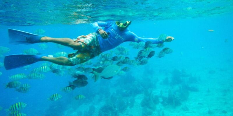 From Cancún: Cozumel Snorkeling Tour - Participant Information