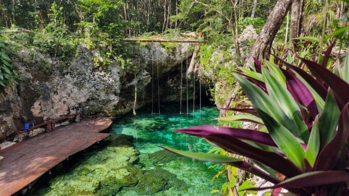 From Cancun: Day Trip to Tulum, Cenote & Playa Del Carmen - Booking and Cancellation Policy