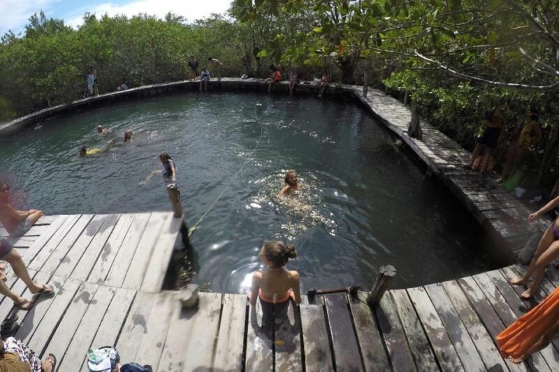 From Cancun: Discover the Best of Holbox - Inclusions