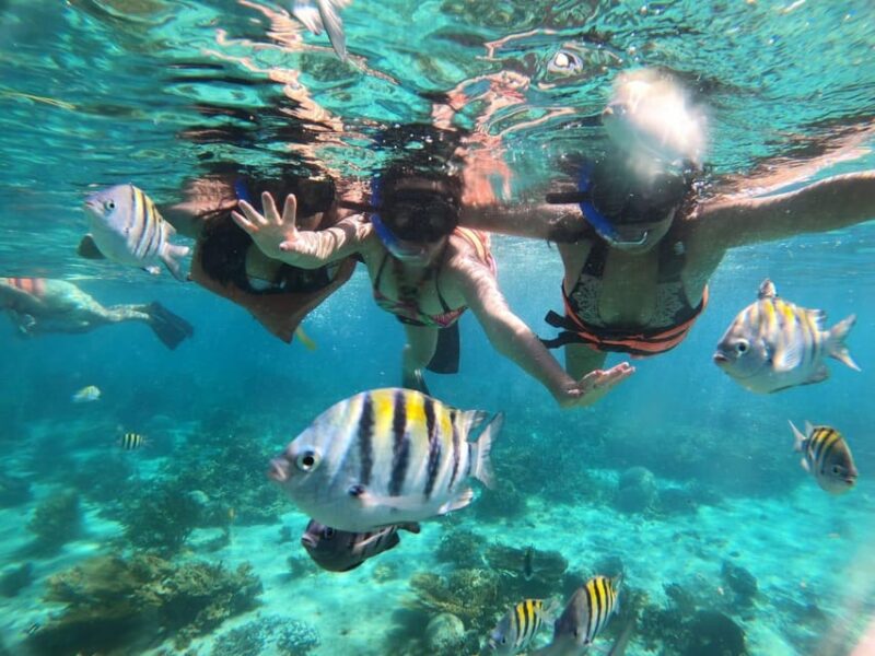 From Cancun: Isla Mujeres Catamaran Trip W/ Lunch & Open Bar - Catamaran Sailing