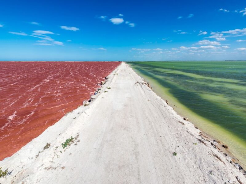 From Cancun: Las Coloradas and Río Lagartos Day Tour - Important Information