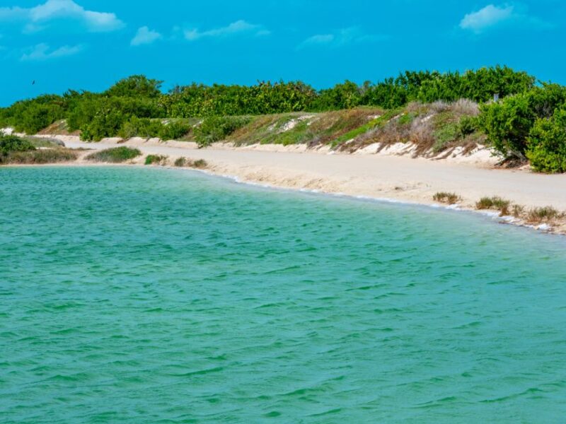 From Cancun: Las Coloradas and Río Lagartos Day Tour - Customer Experience and Feedback