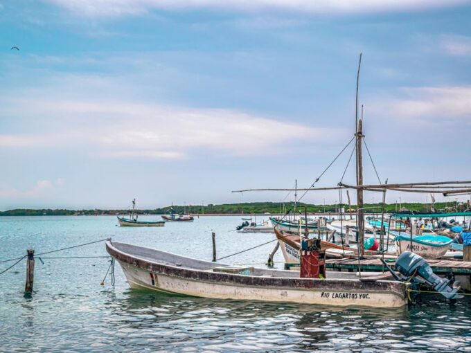 From Cancun: Las Coloradas and Río Lagartos Day Tour - Frequently Asked Questions