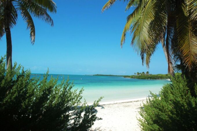 From Cancun or Riviera Maya: Isla Contoy & Mujeres Day Trip - Natural Beauty of Contoy Island