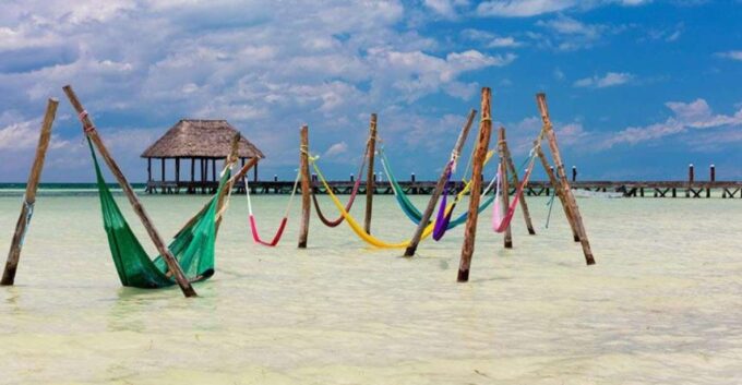 From Cancún/Playa Del Carmen: Holbox Island Tour - Customer Feedback