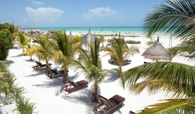 From Cancún/Playa Del Carmen: Holbox Island Tour - Transportation and Logistics