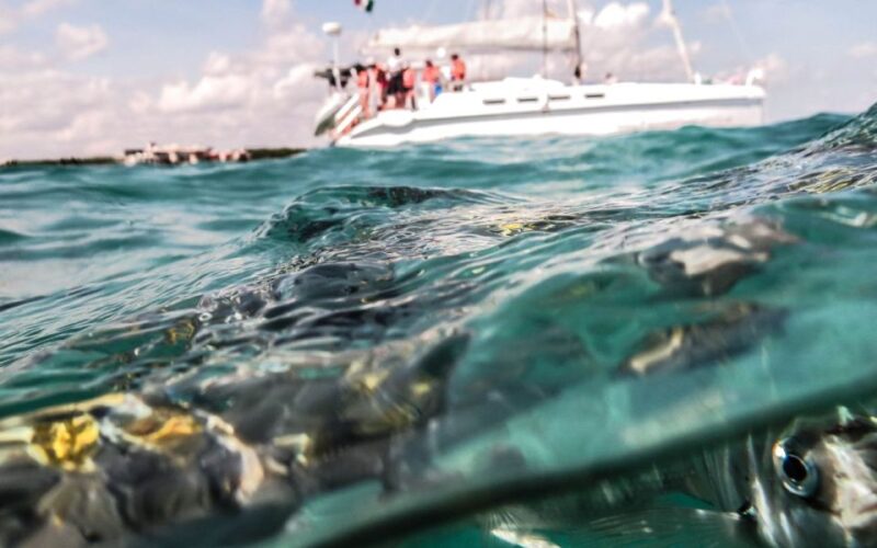 From Cancun/Playa Del Carmen: Maroma Beach Nude Day Cruise - Itinerary Highlights