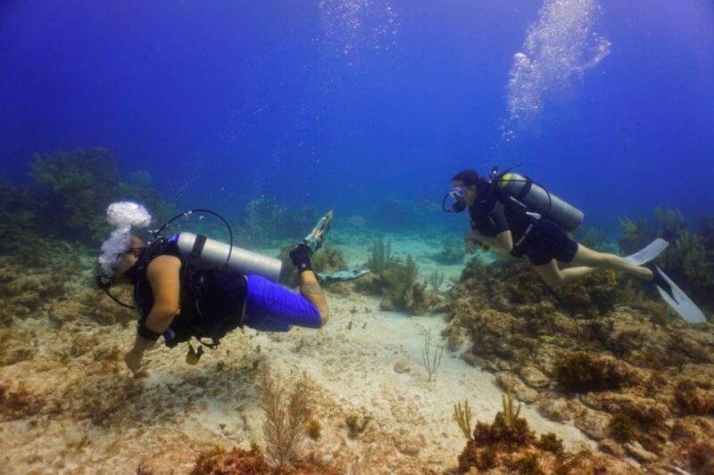 From Cancun: Puerto Morelos Diving Adventure - Key Points