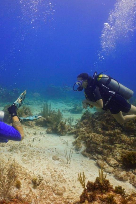 From Cancun: Puerto Morelos Diving Adventure - Diving Experience