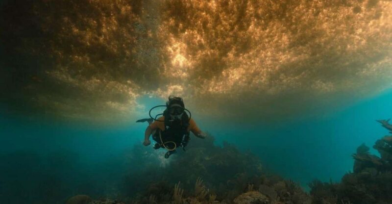 From Cancun: Puerto Morelos Diving Adventure - Transportation and Guidance