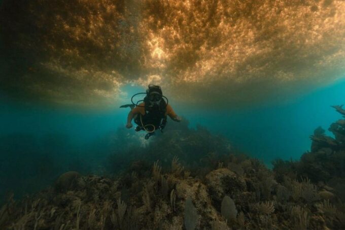 From Cancun: Puerto Morelos Diving Adventure - Frequently Asked Questions