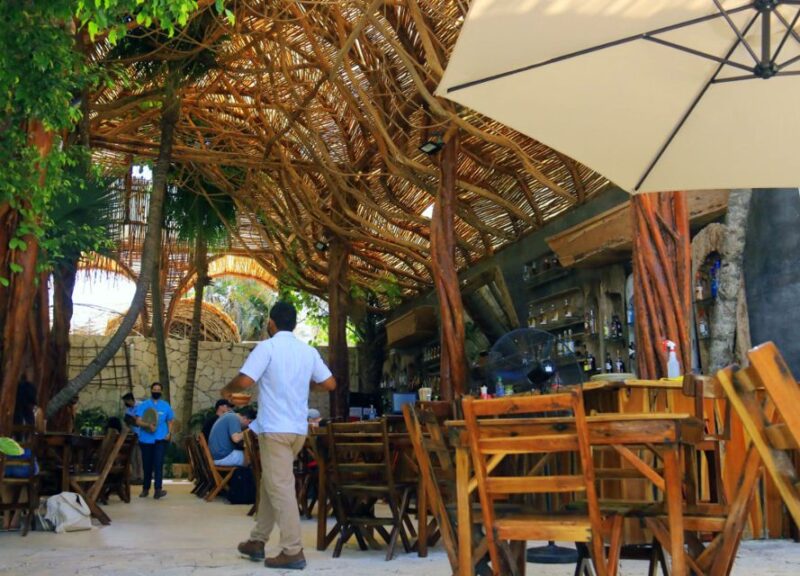 From Cancún: Puerto Morelos Guided Taco Tasting Tour - Customer Reviews