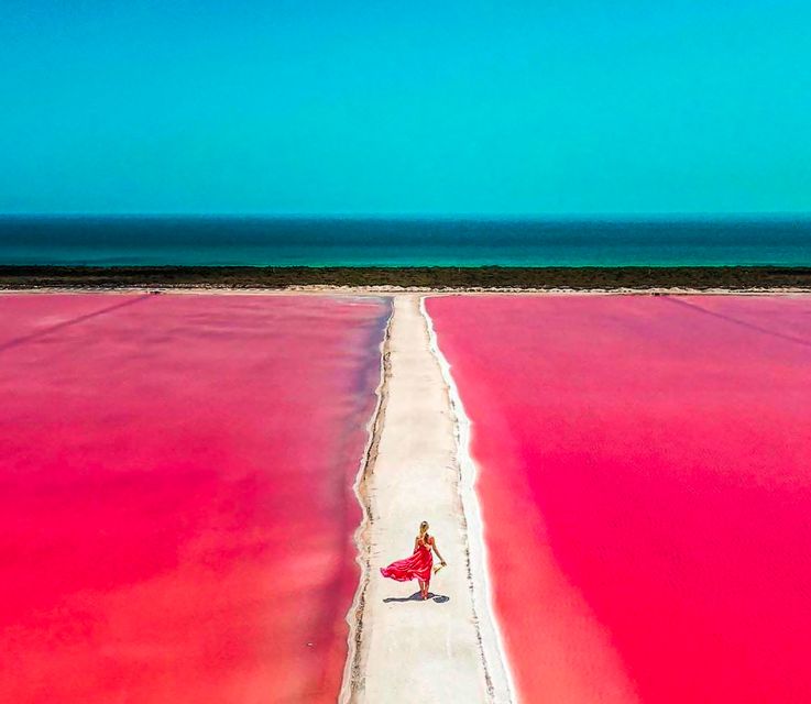 From Cancún: Rio Lagartos & Las Coloradas Day Trip & Lunch - Key Points