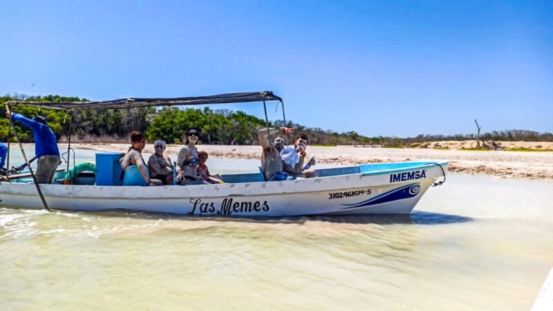 From Cancún: Rio Lagartos & Las Coloradas Day Trip & Lunch - Pickup and Transportation