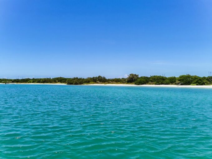 From Cancún: Rio Lagartos & Las Coloradas Day Trip & Lunch - Customer Feedback and Reviews