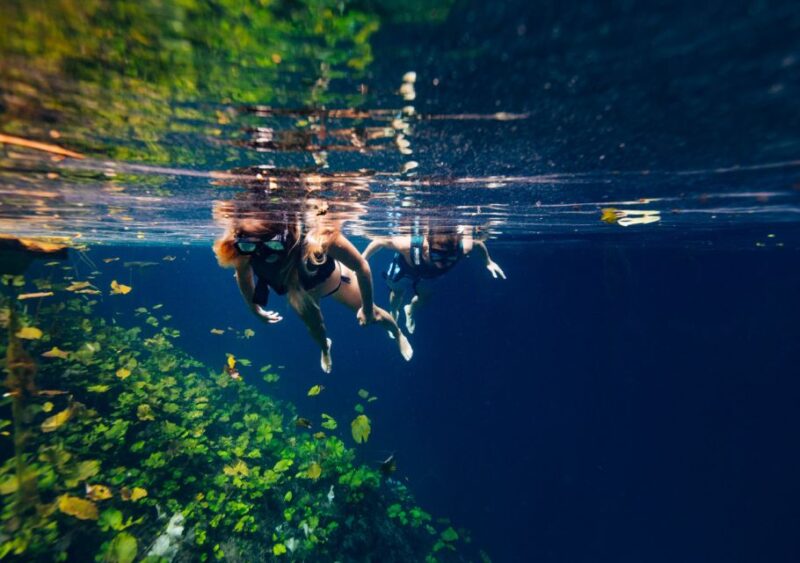 From Cancun & Riviera Maya: Various Cenotes Tour - Snacks and Meals