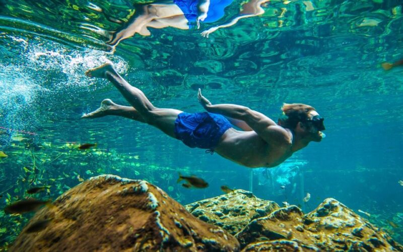 From Cancun: Tulum and Cenote Half-Day Tour With Snorkeling - Important Information