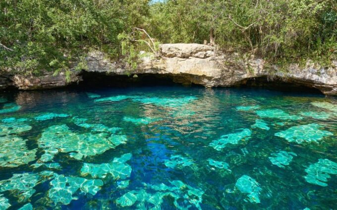 From Cancun: Tulum and Cenote Half-Day Tour With Snorkeling - Transportation Details
