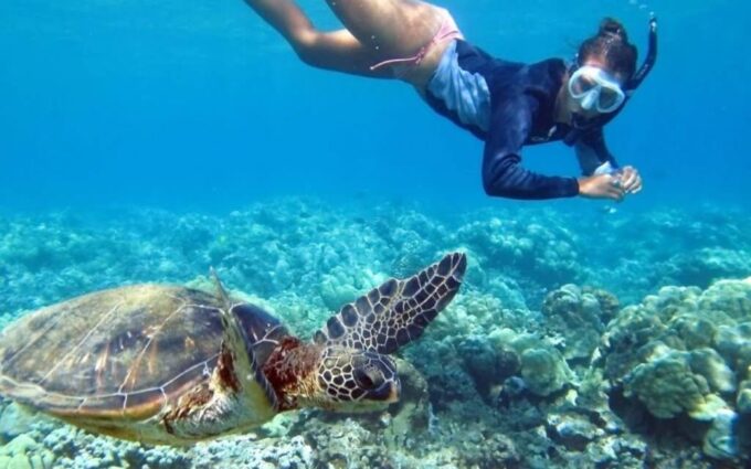 From Cancun: Tulum and Cenote Half-Day Tour With Snorkeling - Frequently Asked Questions