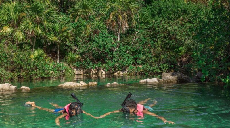 From Cancún: Xcaret, Xel-Ha, Xoximilco & Xenses 2-Day Tour - Xplor Tour