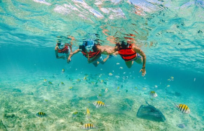 From Cancún: Xcaret, Xel-Ha, Xoximilco & Xenses 2-Day Tour - Xoximilco Tour