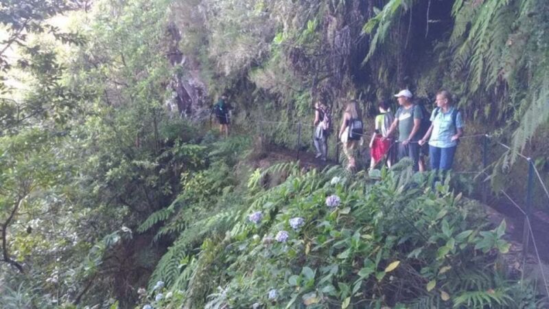 From Caniço/Funchal: Levada Caldeirão Verde Hiking Trip - Pricing and Booking