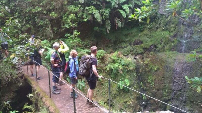 From Caniço/Funchal: Levada Caldeirão Verde Hiking Trip - Experience Highlights