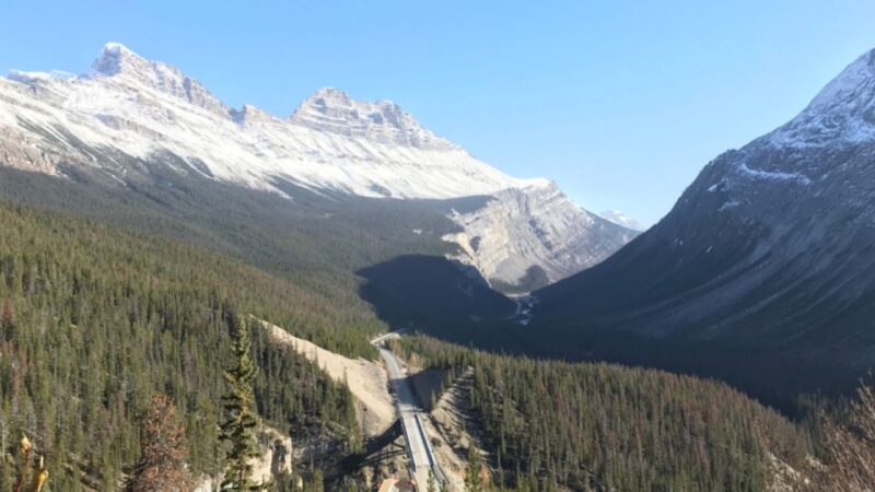 From Canmore/Banff: Icefields Parkway Experience - Expert Guided Tour