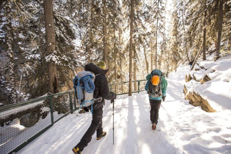 From Canmore/Banff: Lake Louise and Johnston Canyon Tour - Key Points