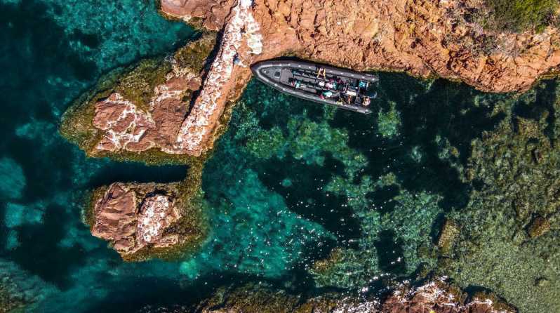 From Cannes: Discover the Calanques of the Esterel - Key Points