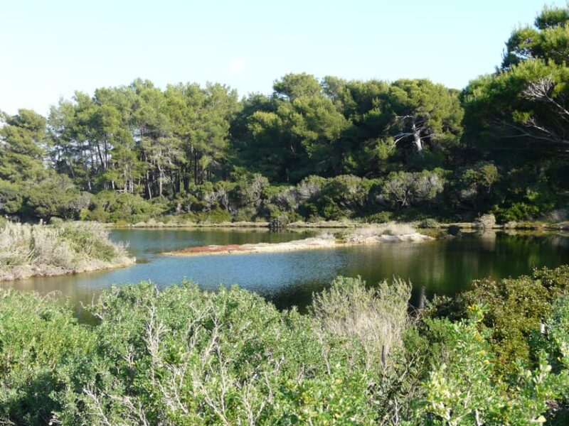 From Cannes: Ferry Tickets to Sainte-Marguerite Island - Booking and Cancellation Policy