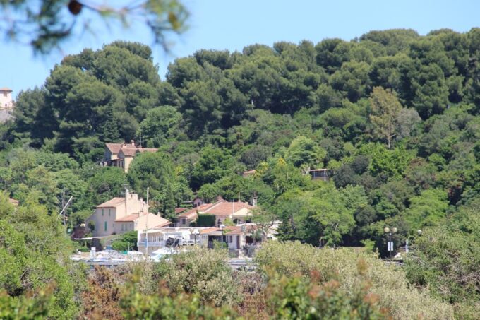 From Cannes: Ferry Tickets to Sainte-Marguerite Island - Exploring Sainte-Marguerite Island
